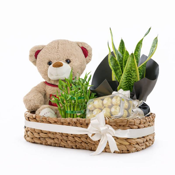 Green Bliss Gift Basket
