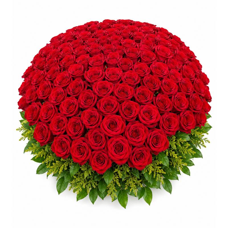 🌹❤️ Royal Romance Rose Dome ❤️🌹
