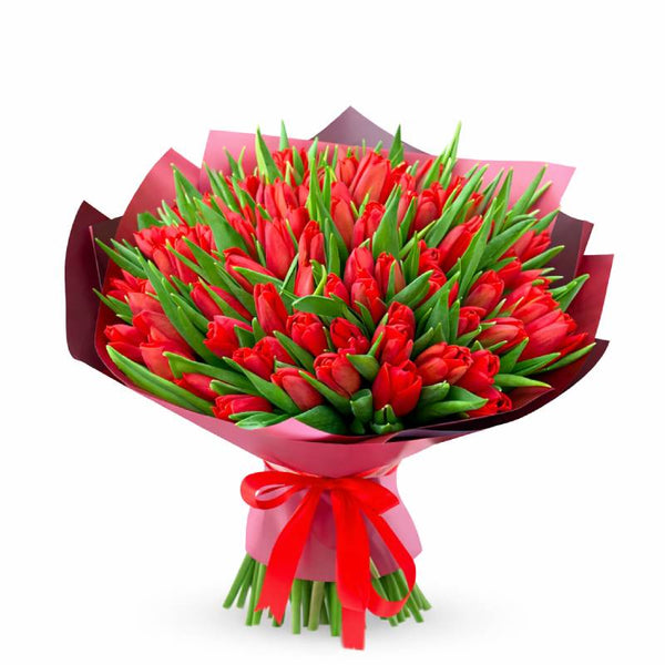 Grand Ruby Tulips