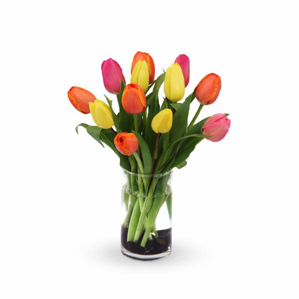 Spring Tulip Harmony