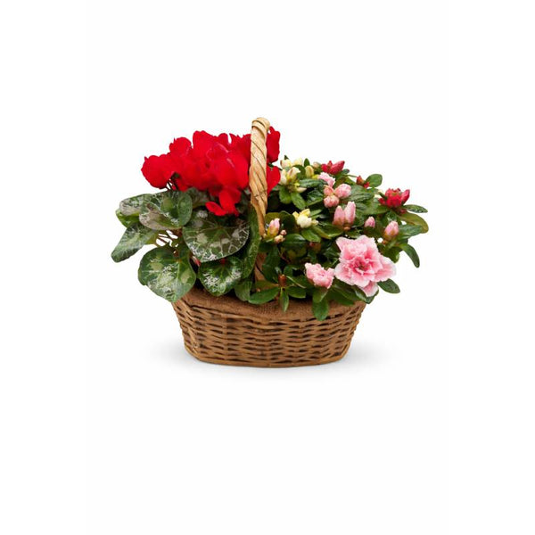 🌺🌸 Bloom Harmony Basket