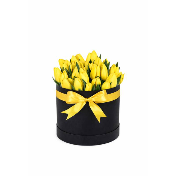 Lumière d’Or Tulip