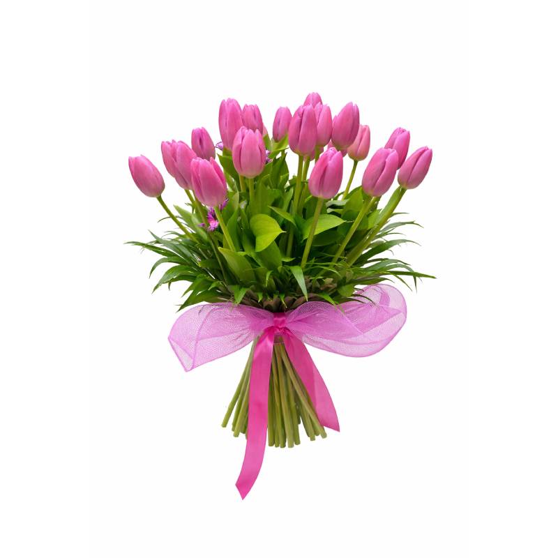 Blush Pink Tulips