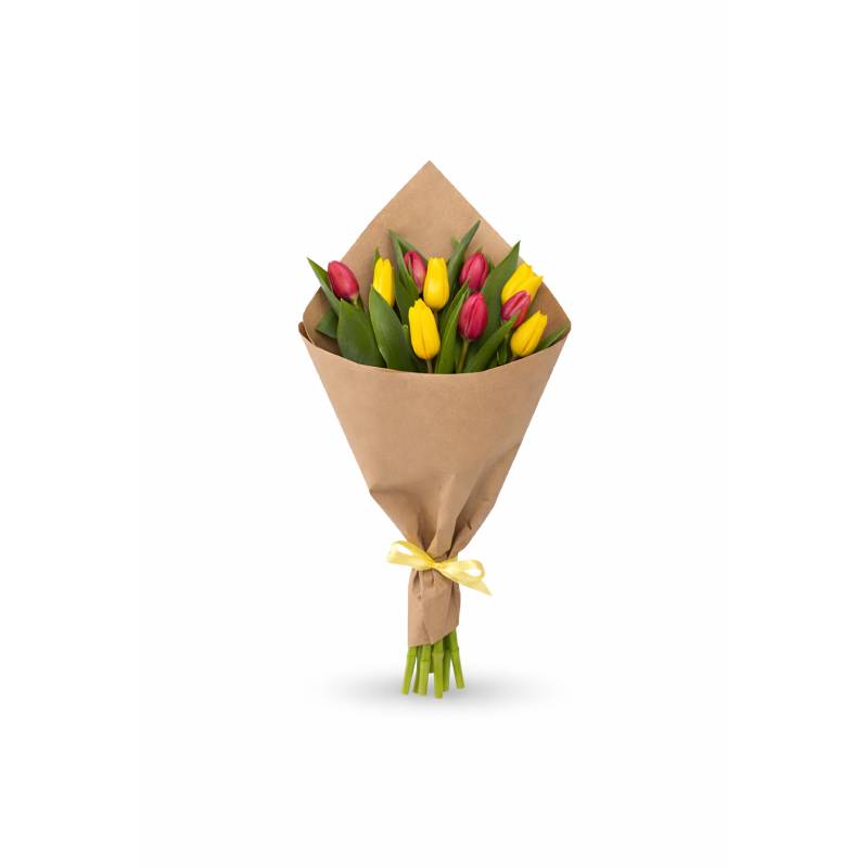 Sunset Tulip Duo