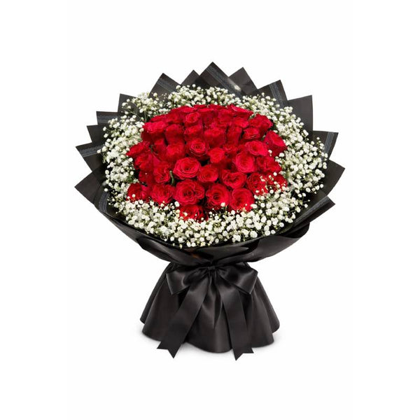 Midnight Passion 🖤🌹