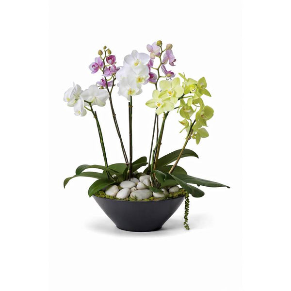 Harmony Luxe Orchid Garden