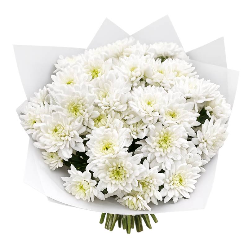 🌸 Snow Whisper Bouquet 🌼