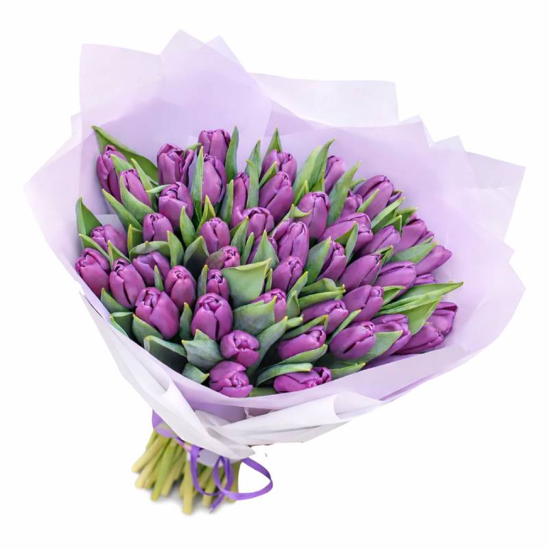💜 Lavender Whisper Tulips
