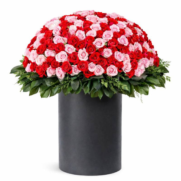 Passion Blush Grand Dome