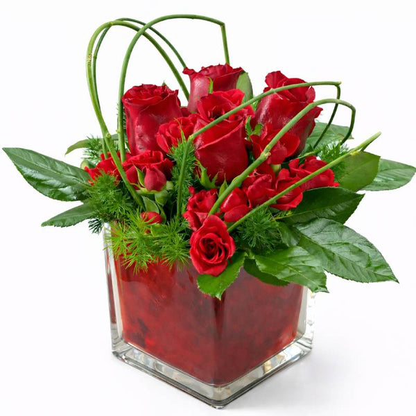 ❤️ Scarlet Passion Cube