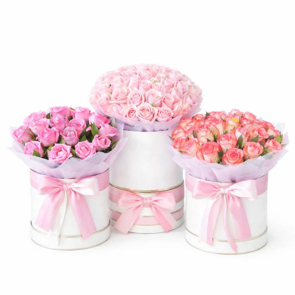 🌸 Pink Velvet Trio Collection