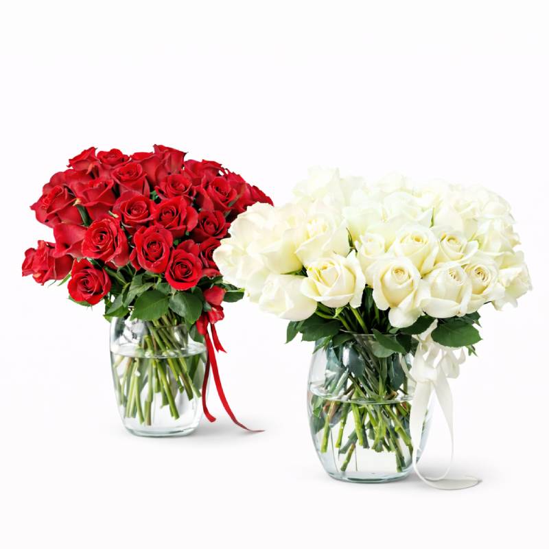 ❤️🤍 Classic Love Duo